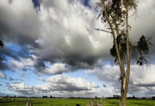 巴西阿根廷美洲杯决赛为何总能点燃足球迷的热情？