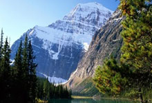 500官方彩票网安全吗？靠谱吗？